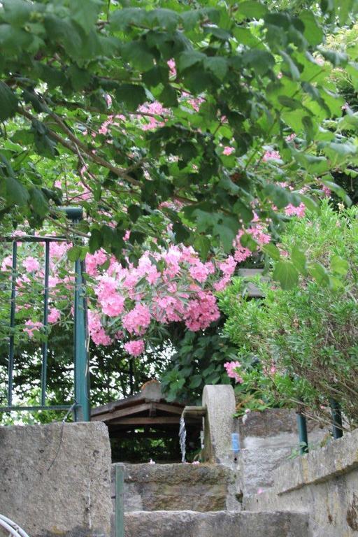 Quinta Do Pinheiral Villa Favões Kültér fotó