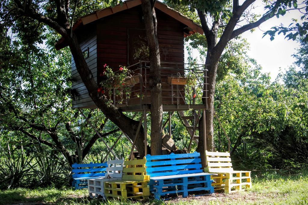 Quinta Do Pinheiral Villa Favões Kültér fotó